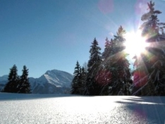 Vallée du Munster (Münstertal)