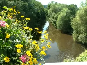 Fluss im südlichen Elsass