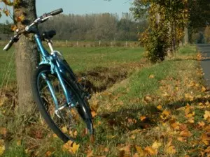 Mountainbiking Elsass