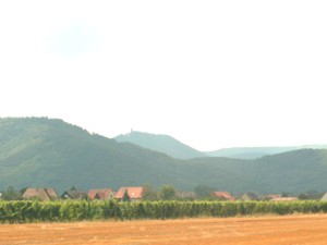 Blick aus dem Rheintal in die Vogesen