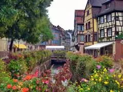 Colmar