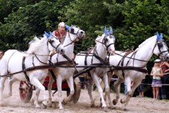 Reiten wie Ben Hur im Pferdegespann bei der Fete du Cheval