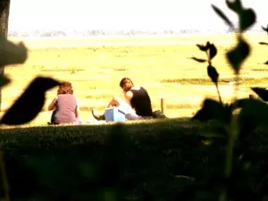 Picknickplätze im Elsass (Haut-Rhin)