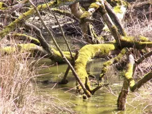 Menshenleer und reich an verwunschenen Orten ist das Jura