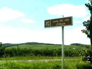 Elsass-Weinstrasse Hinweisschild