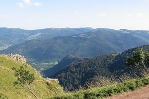 Route verte (Grüne Strasse) Elsass