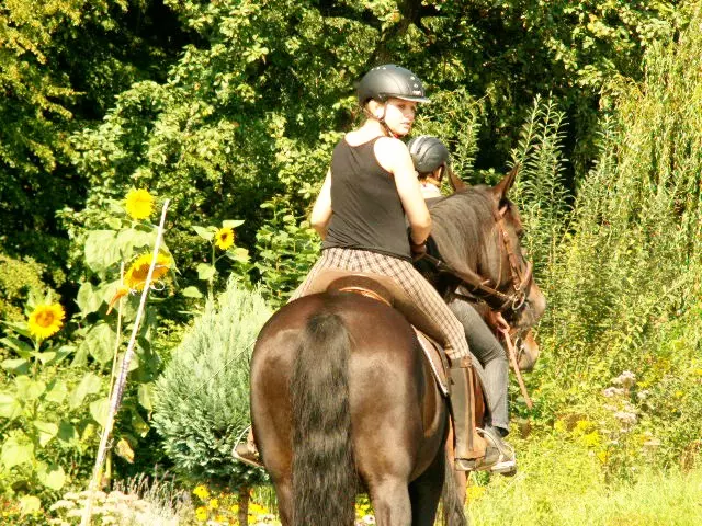 Reiten im Elsass