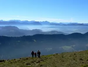 Route des Crêtes Vogesen Elsass (Alsace)