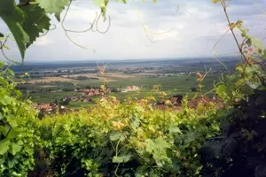 Elsass-Region Oberrhein (Haut-Rhin)