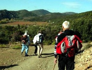 Ausflugstipp Elsass: Herbstwanderung in den Vogesen